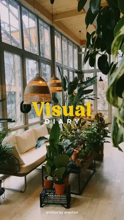 visual diary