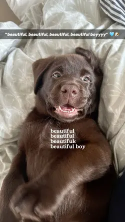 beautiful boy