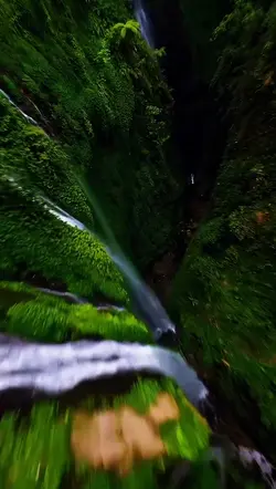 Video or photo 