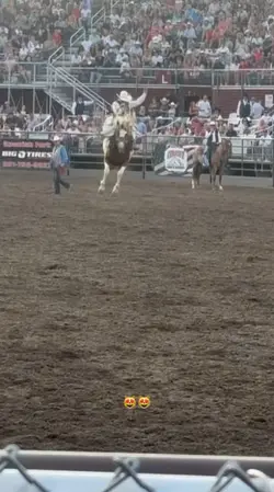 rodeo
