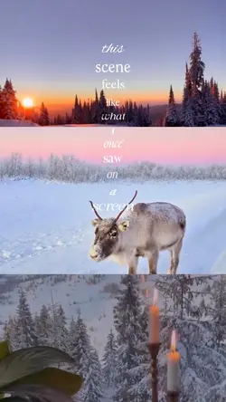 Winter love ✨