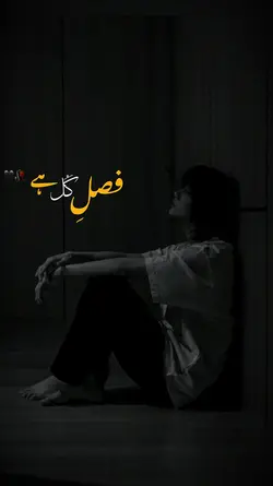 NAFK SONG