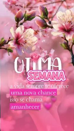 #top5 frase do dia 