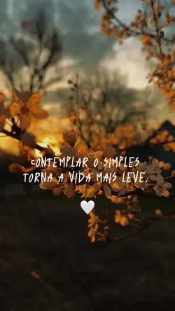 Vida mais leve ✨