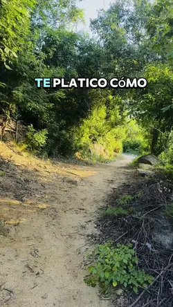 Venados en Acapulco