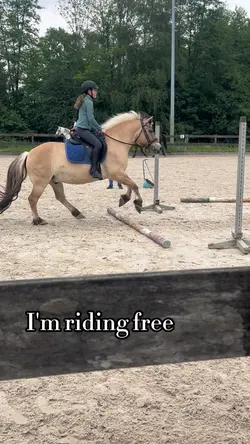 I’m gonna ride! 🐴🐎