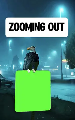 ZOOMING OUT