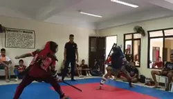 ARNIS Blue Armor 