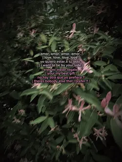 🩷