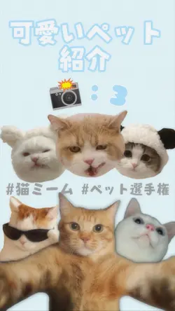 おでこにつけてる怒りマーク！！