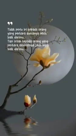 Quotes 