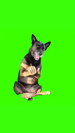 Imma Bite You
