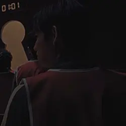 333 x 124??????