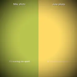 MAY JUNE PHOTO 