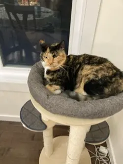 AHHHHHHHH!