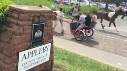 Horse vs car