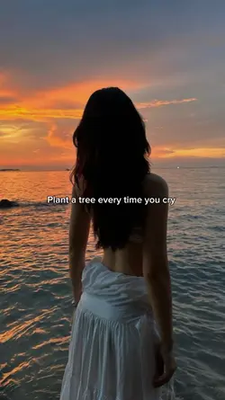 plant a tree 