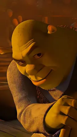Shrek rizz face
