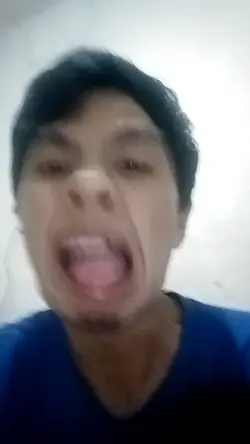 kambing lucu