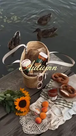 Autumn vlog