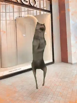 Wolf dancing meme