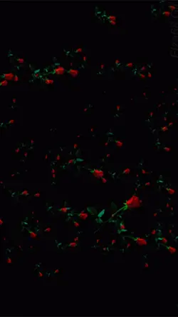 歌詞動画