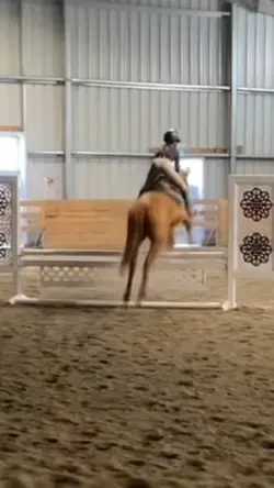 *fake horse!*