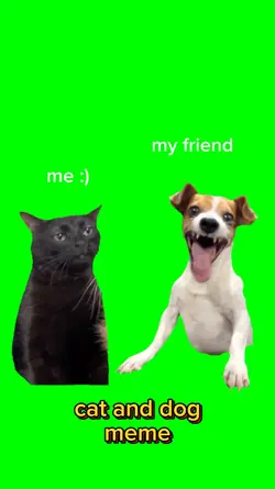 Cat and Dog meme