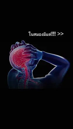 ในสมองไม่มีไรเล่อ¡-¡