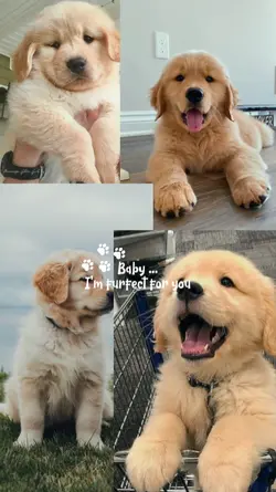 I'm furfect 4 you