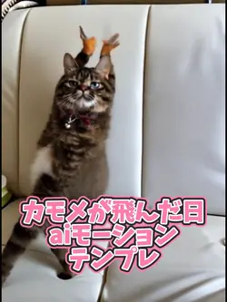 カモメが飛んだ日aiモーションテンプレ