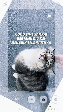 bahan story