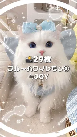 🎵ブルーハワイレモン③