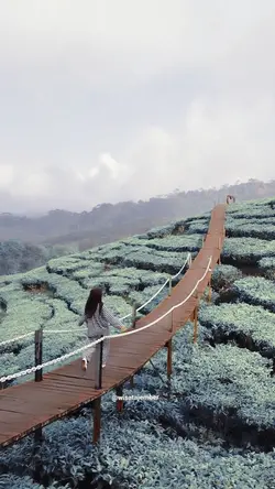 aesthetic slowmo 
