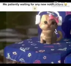 meme