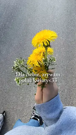 polne kwiaty 