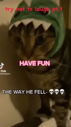 try not to laugh pt1
