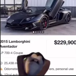 GOAT TREND EDIT 