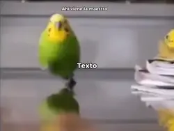 Ahi viene la maestra