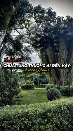 CTTADV REMIX 