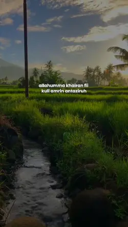 selamat pagi 