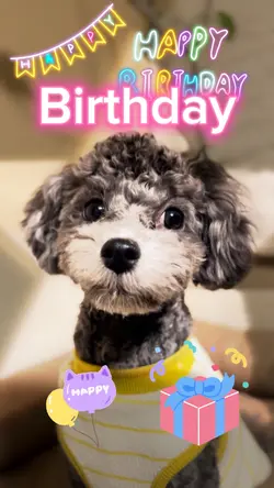 Birthdaysong🎂誕生日画像5枚