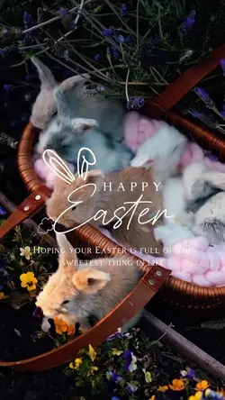 Happy Easter 🌷🐣🐰