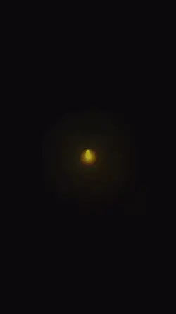 炎/cover