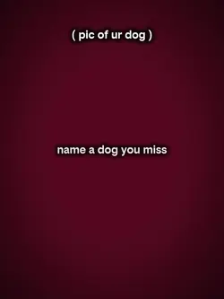 Name a dog u miss