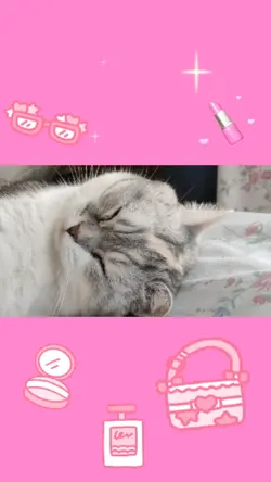 吹き出しでストーリー