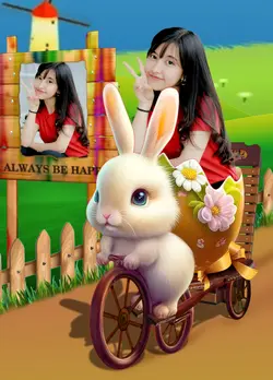 RABBIT ON THE ROAD