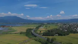Nature Cinematic