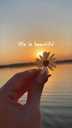Life is beautiful