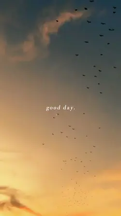 Good day